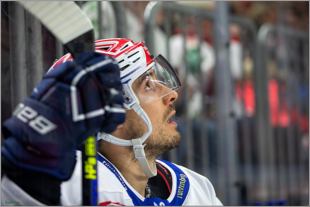 PENNY DEL; Koelner Haie- Schwenninger Wild Wings; Koeln, 06.12.2022